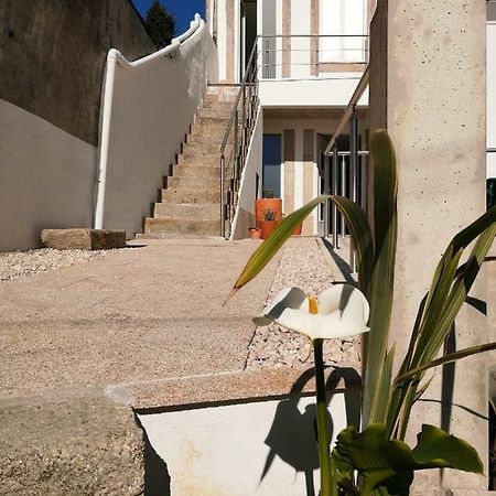 Casa Ventuzelo Apartment Porto Exterior foto